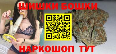 индика Бийск
