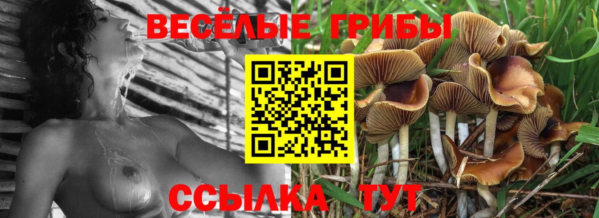 Всеволожск  Псилоцибиновые грибы мицелий  Вход с VPN 